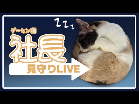 thumbnail_8NTpXlfnOKw