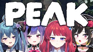 【PEAK】PRO COMPE MANJAT GUNUNG🌄 / ソンシル家4人の初山登り体験 (JP Stream)