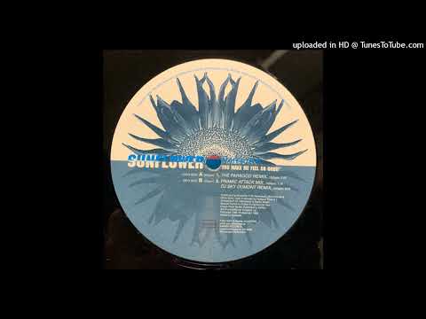 Sunflower - You Make Me Feel So Good (The Paragod Remix)
