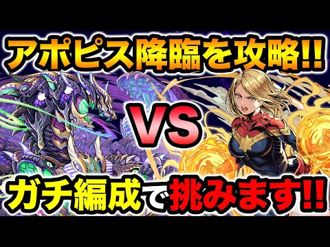 【絶壊滅級】アポピス降臨にガチガチのマーベルPTで初見チャレンジ！新ギミックがヤバい！【スー☆パズドラ】