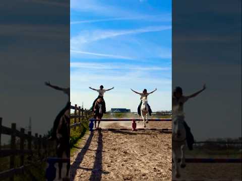 Had so much fun jumping tackless with @CollectHorsemanship! 😍 #mustanghorse #equestrians