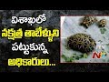 DRI Officers Seized 1125 Indian Star Tortoises: Smugglers Arrested