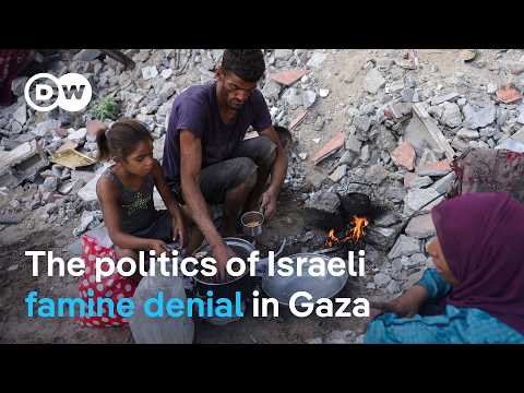 Refugee expert: Israel's denial of Gaza famine is 'wrong and misleading' | DW News