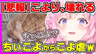 【ホロライブ切り抜き】こよりのSwitch2の抽選結果をちぃこよが予知？実写動画で決定的瞬間！落選メールで壊れるこよりw＆”おつこよー”を書