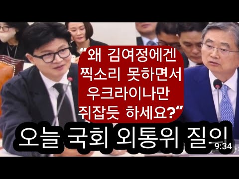 외교부장관을 쥐잡듯 패는 한동훈 <strong>의원</strong>!