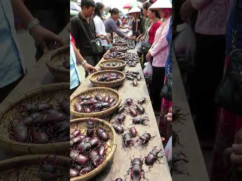 #streetfood sold in market every one can buy to tast