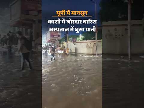UP Weather News: यूपी में मानसून फिर से एक्टिव, 60 जिलों में अलर्ट | Lucknow News