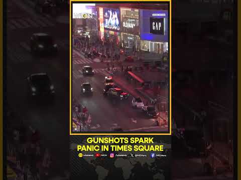 Moment: Gunshots Heard; People Running as Shooting Reported in New York's Time Square | WION Shorts