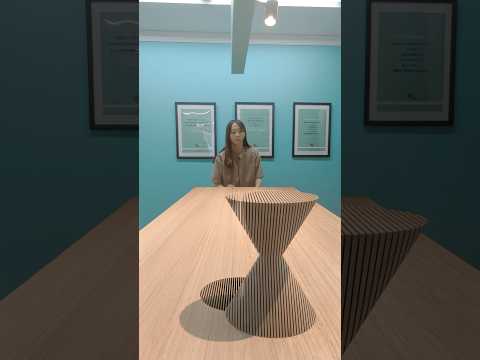 木のブロックはめチャレンジ!001 #challenge #bloc #チャレンジ #ブロック