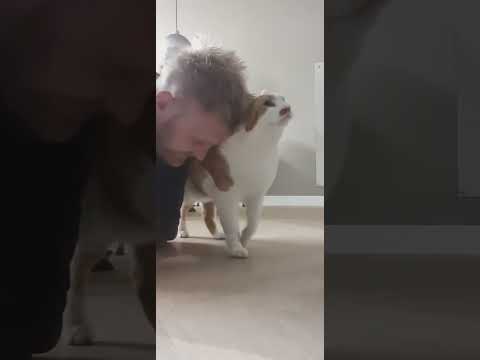 kitty's in the house #yt #shorts #catvideos