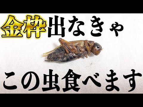 【荒野行動】倉庫ガチャ1501個引いて金枠出なければ虫食べるお⊂二二(　^ω^)二⊃ブーン