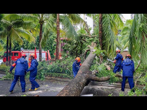 Live: Press conference on reconstruction work after Super Typhoon Yagi