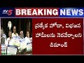 YCP Ex-MPs  Protest Outside Parliament For Justice To AP