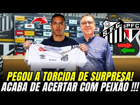 image para ilustrar o artigo