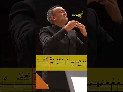 Pure intensity in #beethoven 's symphony no. 7! ♥🎻