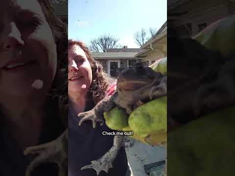 POV: You run to show your husband the new friend you made while cleaning your garden! 🐸