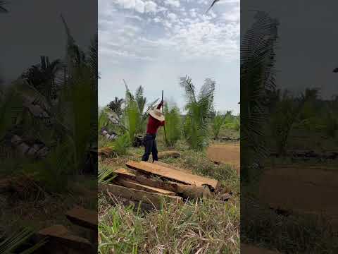 18 de outubro de 2025