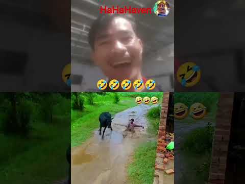 let's be happy again everyone, laugh a little