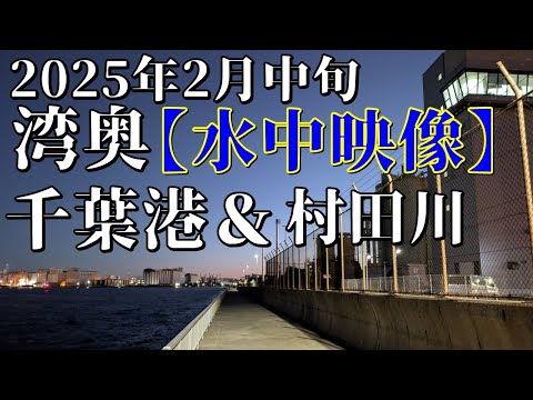 4K【水中映像】2025年2月 久々の湾奥 千葉港・村田川 朝マヅメにクロダイ、シーバスを探す#シーバス #千葉みなと #釣り #水中動画