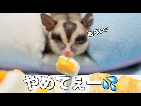 おやつの卵を食べたら赤ちゃんが汚れて大惨事に・・