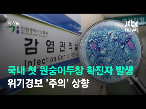 국내 첫 원숭이두창 확진자 발생…위기경보 '주의' 상향 / JTBC 아침&