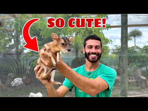 We FOUND New BABY Animal In The AVIARY!! Welcome to Blake’s Exotic Animal Ranch
if you’re new here, I would definitely subscribe and clic