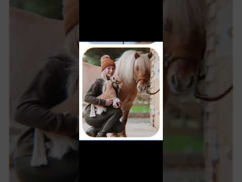 CLOUDYYYYY Love this edit #horse #equestrianjourney #equestrianriding #equestrian #horsebackriding