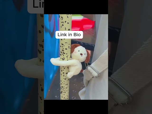 Product Link in Bio ( # 2465 ) ✅ Love Bomb Hugging Animals Keychain Toys