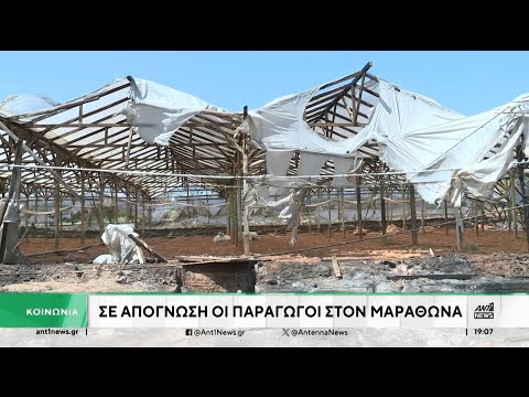 Φωτιά στην Αττική: Αυτοψία του ΑΝΤ1 στις πληγείσες περιοχές