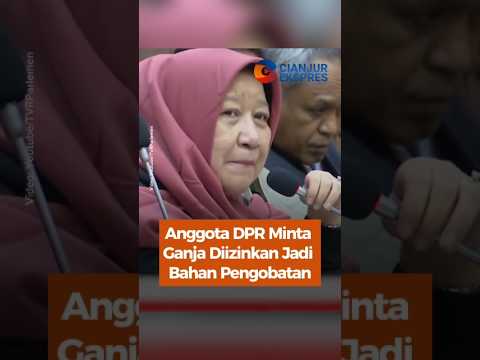 Anggota DPR Minta Ganja Diizinkan Jadi Bahan Pengobatan