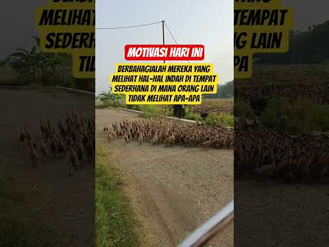 bersyukur #piano #music #pianocover #pianomusic #instrumen #motivation #money #movie #katakatabijak