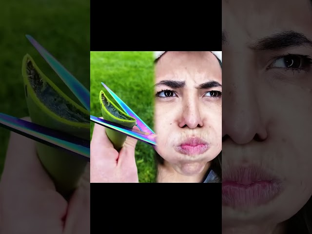 CABEÇA COM AR - SOPHIA CARREGANDO O NOTEBOOK #comedia #humor