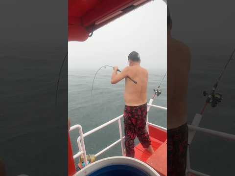 ที่มาของคำว่า“ชุลมุน ชุลเกย์”😆 #fishing #sea #rainny #miss #chaos