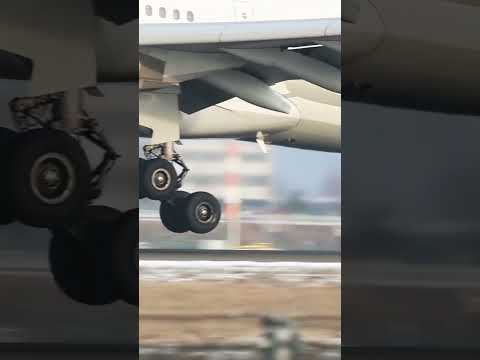 Butter landing A330 #airbus #330 #trending #shortvideo #happy #boeing #like #likesharesubscribe