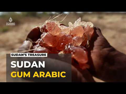 Sudan export at risk: Conflict has disrupted production of Gum Arabic