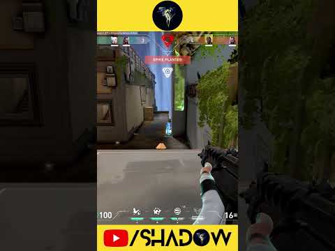 What the Veto doing? 🤣 lol ㅋㅋㅋㅋ komik kekw 발로란트 #valorantfunnymoments #valorantclips