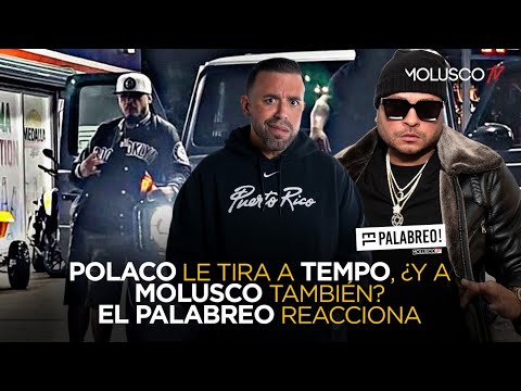 POLACO saca TIRAERA Pa TEMPO ¿ Y le tira a Molusco ? ? #ElPalabreo reacciona