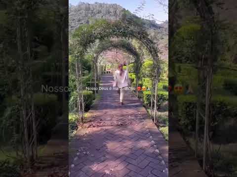 Uma declaração de fé 🔥🔥