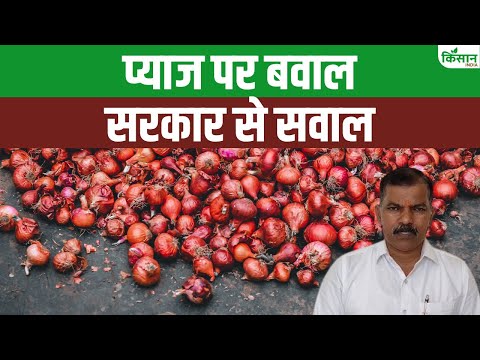 Onion Price: प्याज पर बवाल, किसान बेहाल!प्याज के भाव ने बिगाड़ी किसानी की चाल। Kisan India