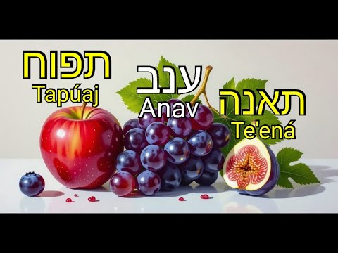 Aprende los Nombres de las Frutas en HEBREO 