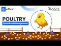 Poultry Process Management