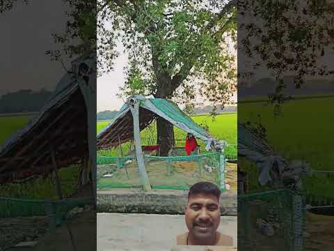 #nature #love #farming #villagelife #travel #music
