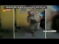 A Jailer in duty dances in jail -Exclusive viral video