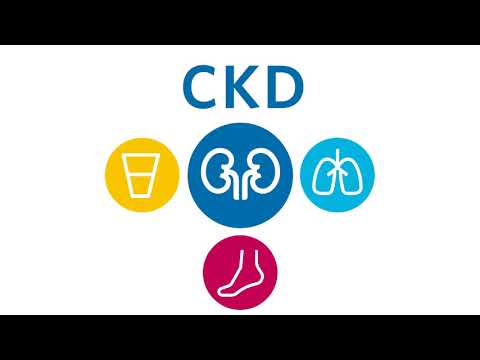 What Is Kidney Disease?