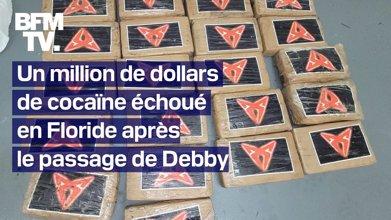 Tempête Debby: plus d'un million de dollars de cocaïne s'échoue sur une plage de Floride