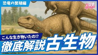 【古生物学】RPNP古生物学ニュース「恐竜の繁殖！恐竜の交尾って化石に残るの？」#恐竜 #化石 #解説