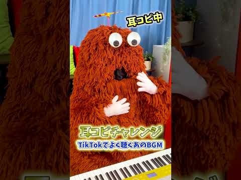 【TikTokでよく聴くあのBGM】耳コピして弾いてみた!#shorts #tiktok #エスコート #ピアノ #耳コピ #弾いてみた #音楽家ムック #ムック