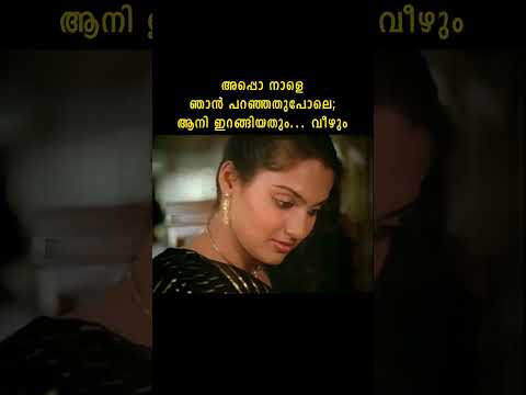 ഞാനാ ചെയ്താ ചെയ്തതാ.. #shorts #malayalam #movie #reels #mammootty #madhavi #bhadran #mollywood