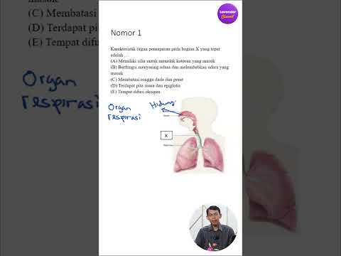 Trik Cepat Jawab Soal Biologi Tanpa Hafalan! Sub Karakteristik Organ