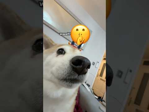 Waaah! Number one ☝️